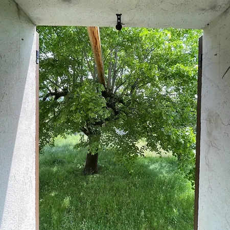 Avec Jardin Au Coeur Du Verdon! Saint-André-les-Alpes